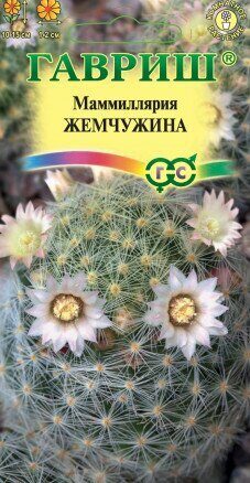 Маммиллярия Жемчужина кактус 2шт Гавриш