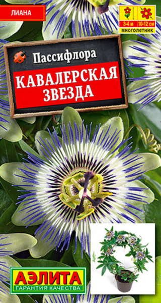 Пассифлора Кавалерская звезда 5шт Аэлита
