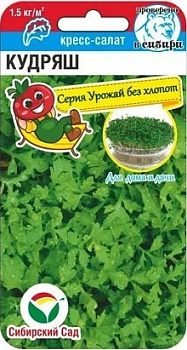 Салат Кресс Кудряш 0,5гр Сиб сад