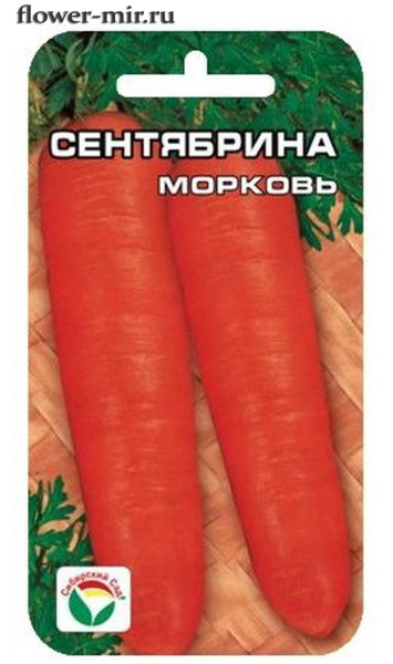 Морковь Сентябрина  2гр Сиб сад